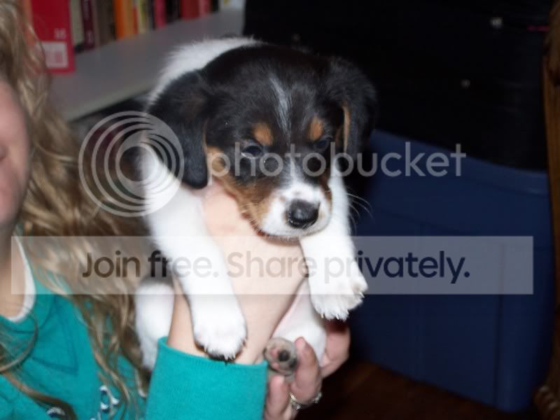 FosterSheagles009.jpg