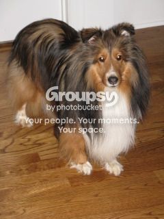 IMG_0981.jpg