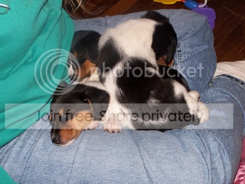 FosterSheagles011.jpg