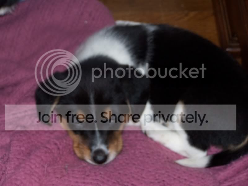 FosterSheagles005.jpg